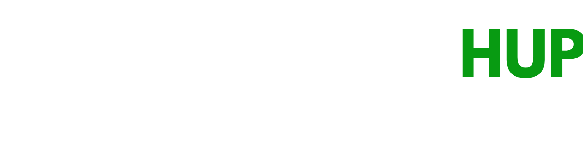 ScholarshipHub.ng